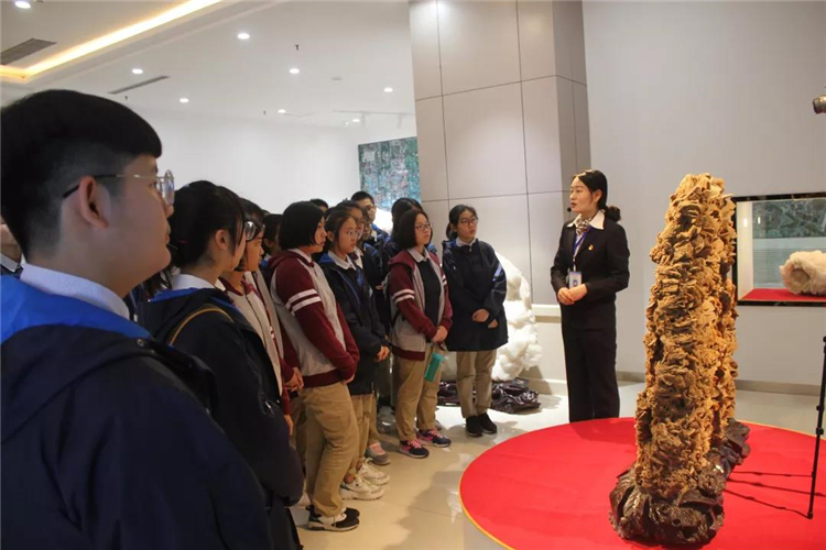 1588229891800291.jpg 2.jpg